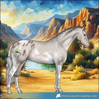 Horse Color:Silver Brown Dun Tobiano Appaloosa 
