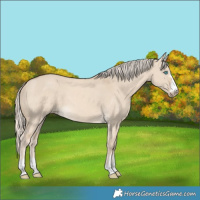 Horse Color:Cremello Dun 