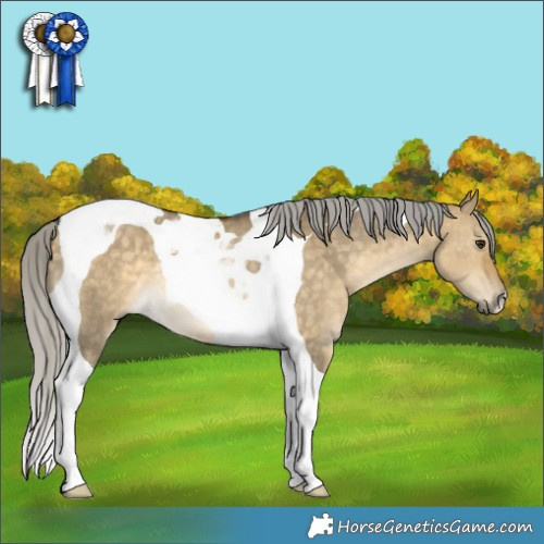 Horse Color:Silver Buckskin Dun Tobiano Rabicano 
