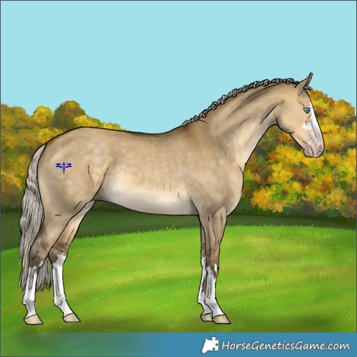 Horse Color:Gray Silver Sable Cream Champagne Dun 