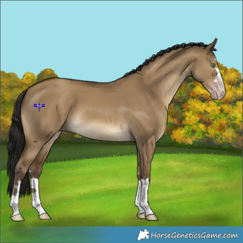 Horse Color:Gray Classic Cream Champagne Dun 