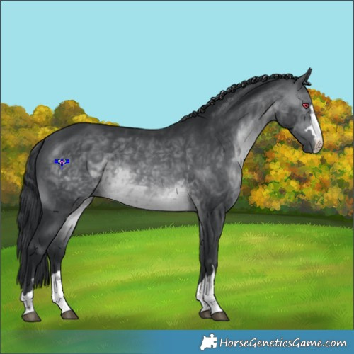 Horse Color:Brown Chinchilla 