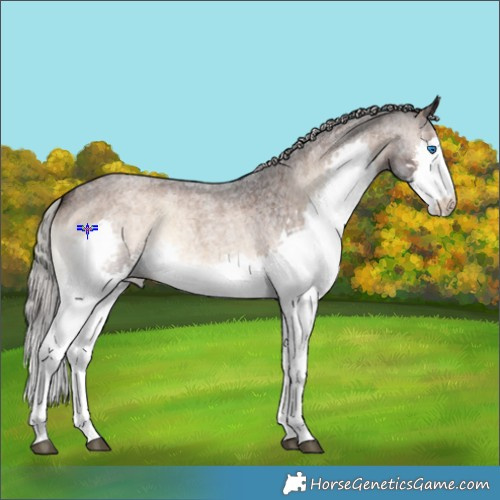 Horse Color:Silver Brown Roan Onyx Splash 