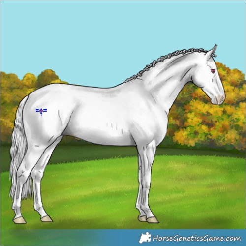 Horse Color:White Spotted Buckskin Chinchilla Pearl Onyx Splash 