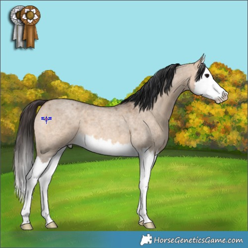 Horse Color:Bay Roan Dun Splash 