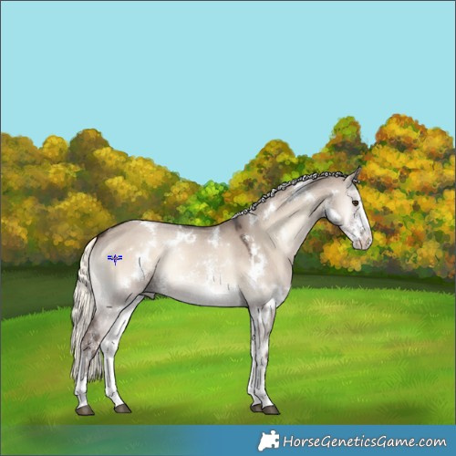 Horse Color:White Spotted Liver Red Dun Onyx Mushroom Sabino 