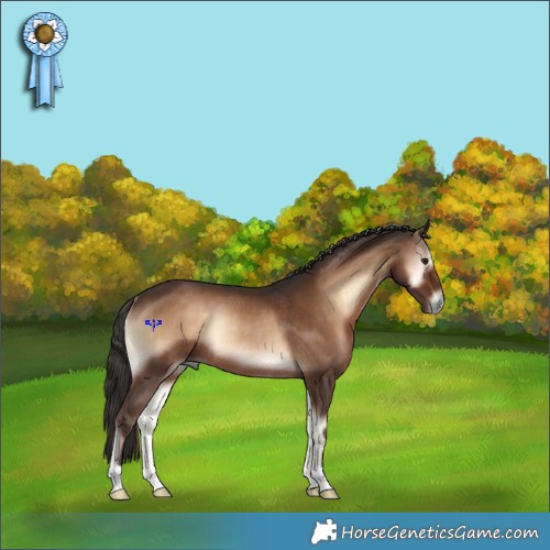 Horse Color:Liver Red Onyx Rabicano 
