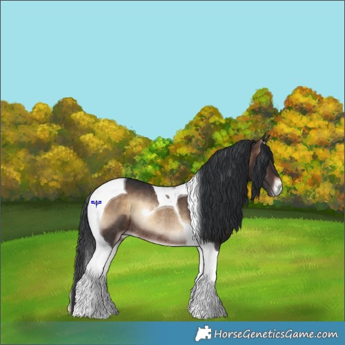 Horse Color:Brown Onyx Tobiano Rabicano 