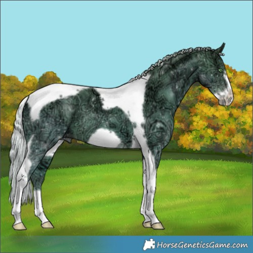 Horse Color:Silver Classic Cream Champagne Ice Tobiano Frame 