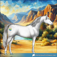 Horse Color:Gray White Spotted Liver Chestnut Sabino Rabicano 