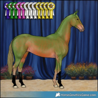Horse Color:Watercolor Liver Chestnut 
