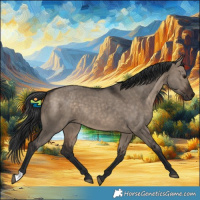 Horse Color:Brown Dun 