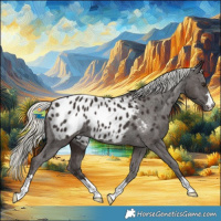 Horse Color:Liver Chestnut Mushroom Appaloosa Rabicano 