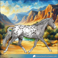 Horse Color:Liver Chestnut Mushroom Appaloosa Rabicano 