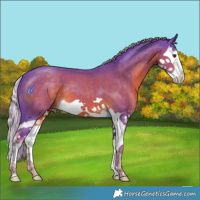 Horse Color:Watercolor Chocolate Palomino Splash