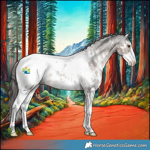 Horse Color:Liver Chestnut Sabino Snowcap 