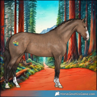 Horse Color:Liver Red Dun 
