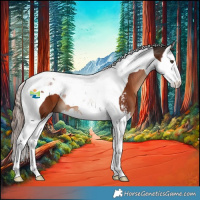 Horse Color:Liver Chestnut Sabino Splash Tobiano 