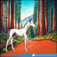 Horse Color:Liver Chestnut Sabino Splash Tobiano 