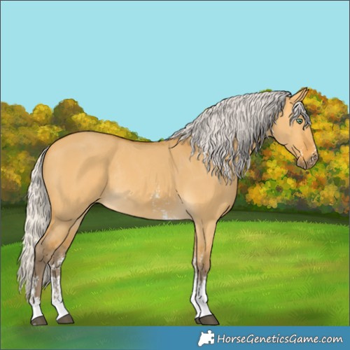 Horse Color:Silver Buckskin Dun Sabino Rabicano
