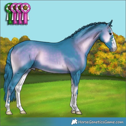 Horse Color:Watercolor Brown Onyx 