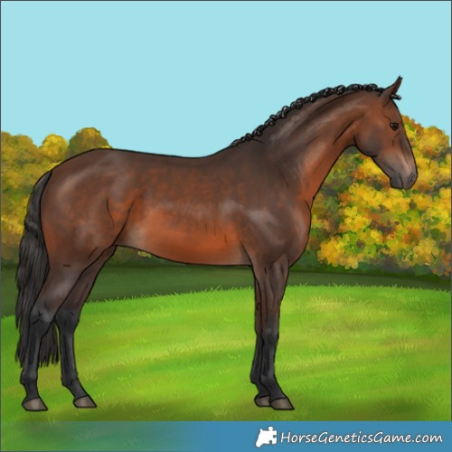 Horse Color:Brown 