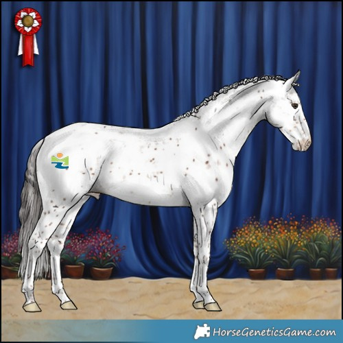 Horse Color:Liver Chestnut Sabino 