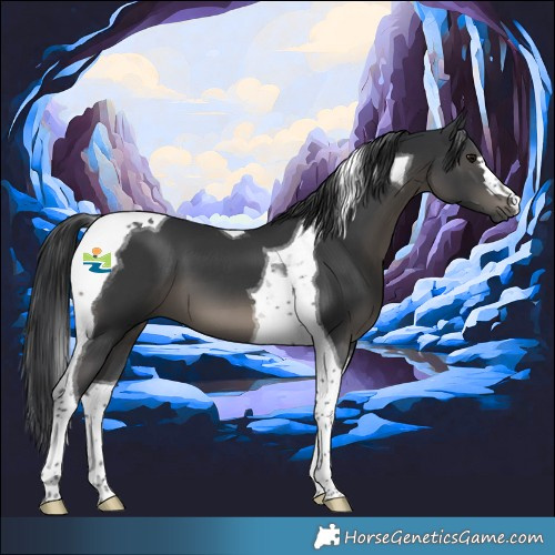 Horse Color:Black Tobiano 