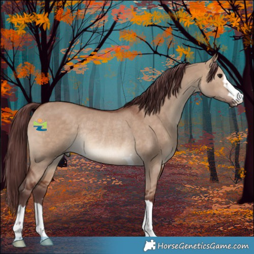 Horse Color:Chocolate Brown Dun Rabicano 