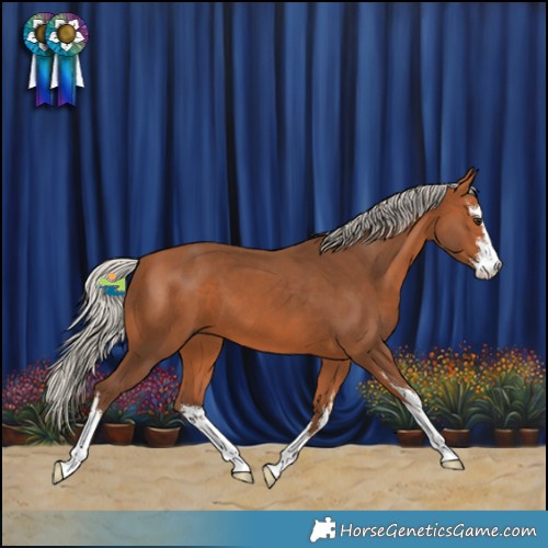 Horse Color:White Spotted Silver Bay 