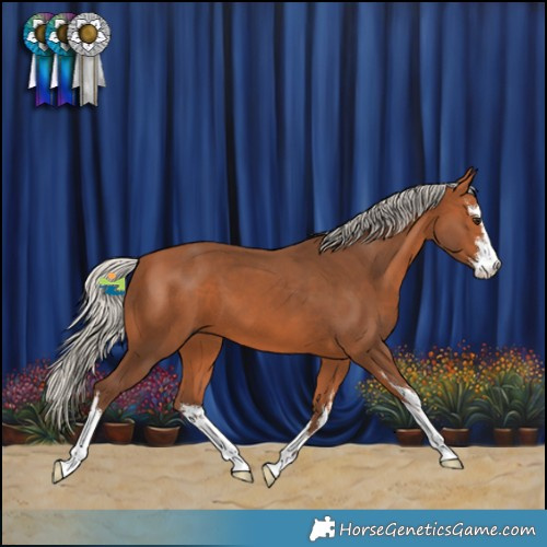 Horse Color:White Spotted Silver Bay 