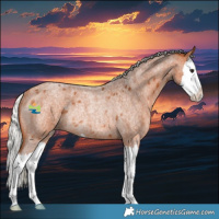 Horse Color:White Spotted Silver Bay Roan Splash Rabicano