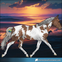 Horse Color:White Spotted Silver Black Tobiano 