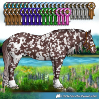 Horse Color:White Spotted Chocolate Brown Blanket 
