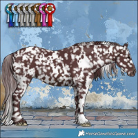 Horse Color:White Spotted Chocolate Brown Snowflake Varnish 