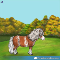 Horse Color:White Spotted Silver Bay Splash 
