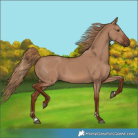 Horse Color:Red Dun 