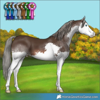Horse Color:Liver Chestnut Mushroom Splash 