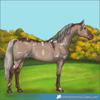 Horse Color:White Spotted Chocolate Silver Brown Dun