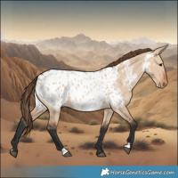 Horse Color:Bay Dun Near Leopard 