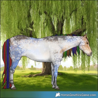 Horse Color:Painted White Spotted Buckskin Ice 