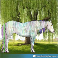 Horse Color:Painted White Spotted Silver Buckskin Ice 