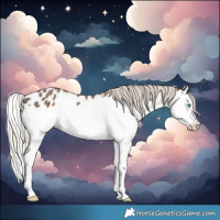 Horse Color:Silver Black Splash Leopard 
