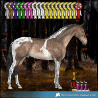 Horse Color:Bay Dun Tobiano Appaloosa Rabicano