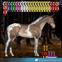Horse Color:Bay Dun Tobiano Appaloosa Rabicano 