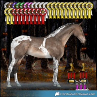 Horse Color:Bay Dun Tobiano Appaloosa Rabicano