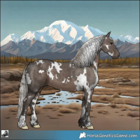 Horse Color:White Spotted Silver Black 