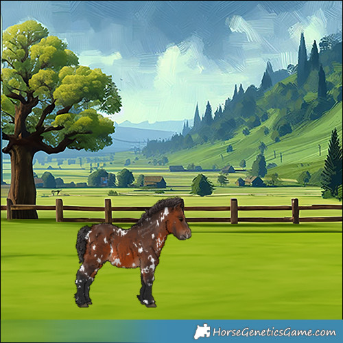 Horse Color:White Spotted Brown 