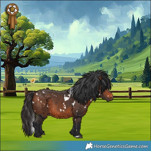 Horse Color:White Spotted Bay 