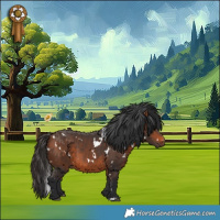 Horse Color:White Spotted Bay